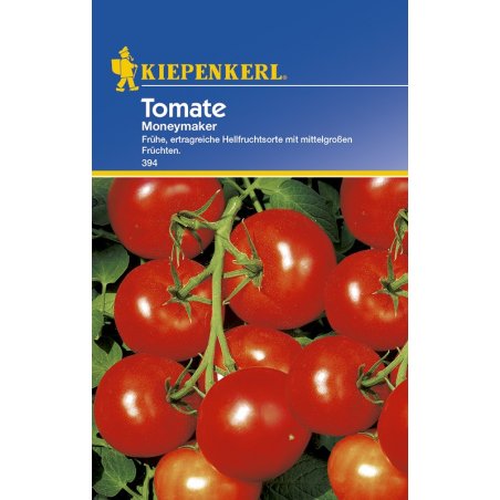 Tomaten Moneymaker