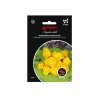 Чушка чили TRINIDAD MORUGA SCORPION YELL