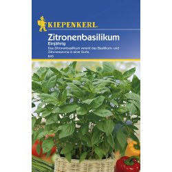 Busuioc cu aromă de lămâie