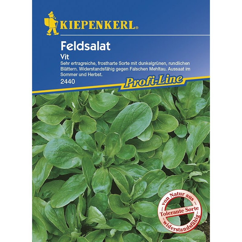Mâche Vít