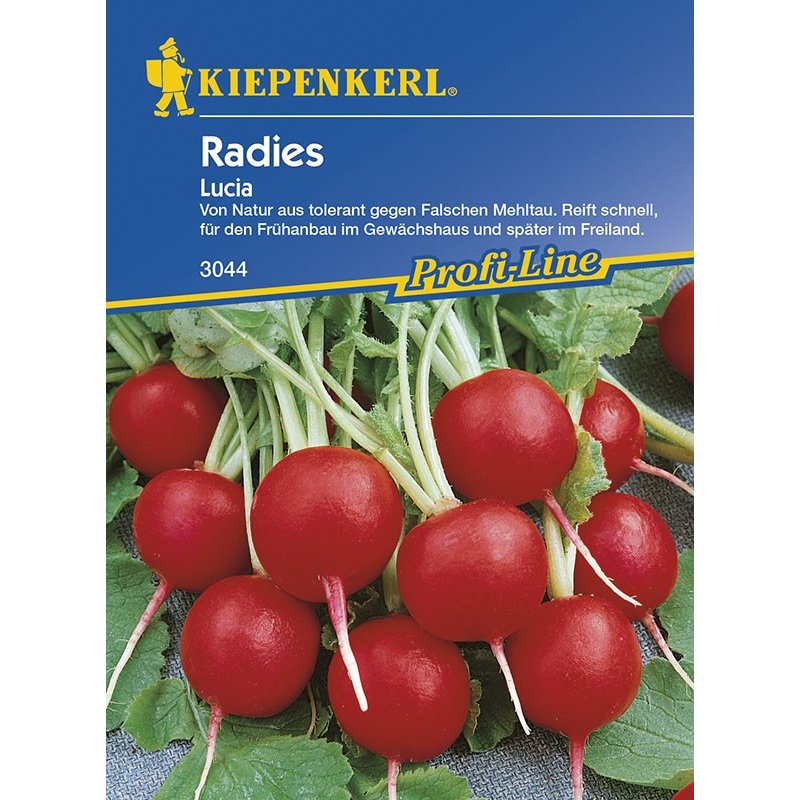 Radieschen Lucia