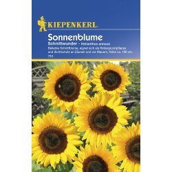 Girasole - Helianthus tagliato miracolo
