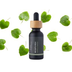 BIO Gotu Kola - Olio di erbe ayurvedico 100% naturale (10 ml)