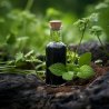 BIO Gotu Kola – 100 % prírodný ajurvédsky bylinný olej (10 ml)