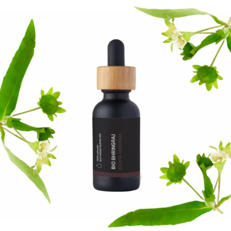 BIO Bhringraj - 100% natuurlijke ayurvedische kruidenolie (10 ml)