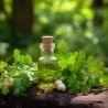 BIO Koriander - 100% natuurlijke essentiële olie 10 ml - Pěstík
