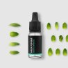 BIO Pfefferminze - 100% natürliches ätherisches Öl 10 ml - Pěstík