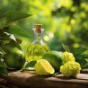 BIO Bergamota - Aceite esencial 100% natural 10 ml - Pěstík