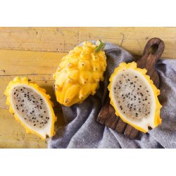 Pitahaya - gelb (Hylocereus megalanthus) 7 Samen