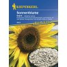 Tournesol - Helianthus Snack