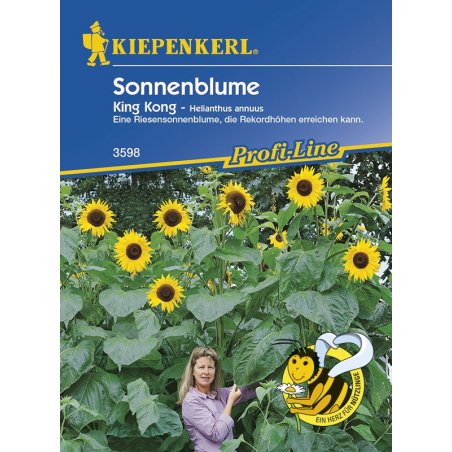 Girasole -Helianthus King Kong