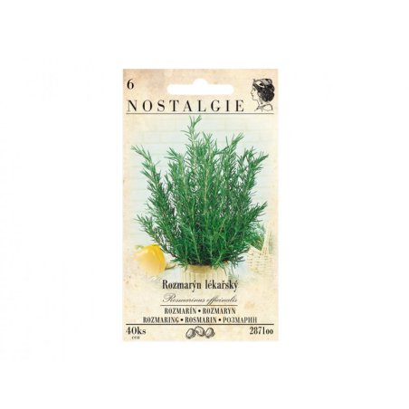 Rozmarýn lékařský