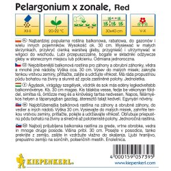 Pelargonium zonale rojo