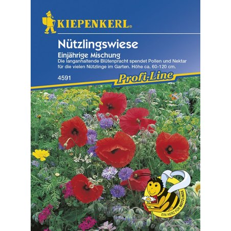 Prairie fleurie pour les insectes utiles