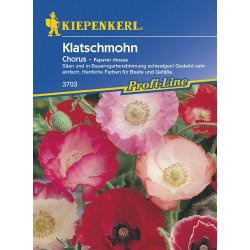 Klaproos