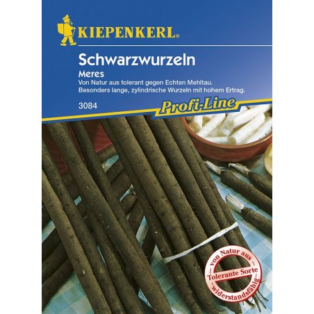 Black salsify