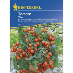 Cherrytomaten Vilma