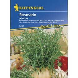 Rosmarino