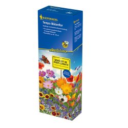 Mélange floral - Mélange floral à croissance rapide