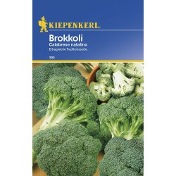 Brokolica - Calabrese natalino