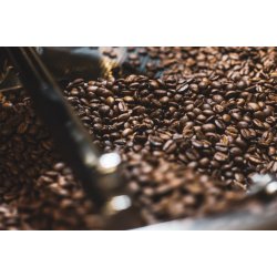 Prehliadka praženiarne s pražičom