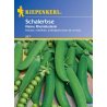 Pisello da zucchero Kl. Rheinl. – semi di pisello