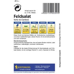 Feldsalat V. de Cambrai