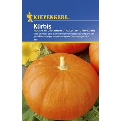 Kürbis Rouge V.D'Etampes  Kürbissamen