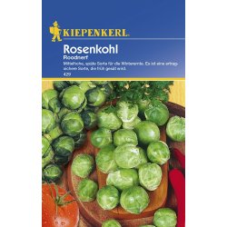 Rosenkål Roodnerf - frön till rosenkål