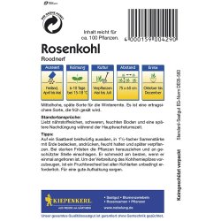 Prokulica Roodnerf - sjeme prokulice