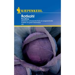 Rotkohl Roodkop