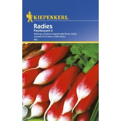 Radieschen Flamboyant 2 - Radieschensamen