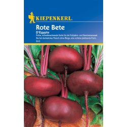 Rote Bete D'Egypte - Rübensamen