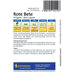 Rote Bete D'Egypte - Rübensamen