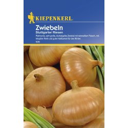 Zwiebel Stuttg. Riesig - Zwiebelsamen