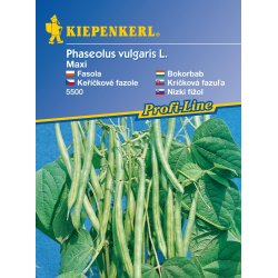 Niski grah Maxi - sjemenke graha