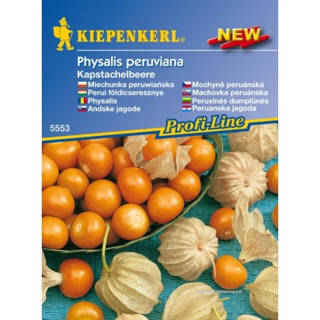 Physalis Kapstachelbeere - physalis zaden