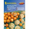 Cape gooseberry Kapstachelbeere - cape gooseberry seeds