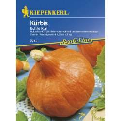 Calabaza Uchiki Kuri - semillas de calabaza