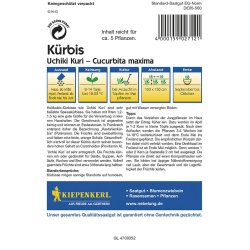 Courge Uchiki Kuri - graines de courge