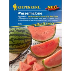 Wassermelone Tigrimini F1 - Wassermelonensamen