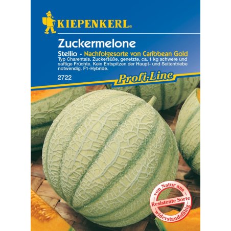 Диня Stellio F1 - насіння дині
