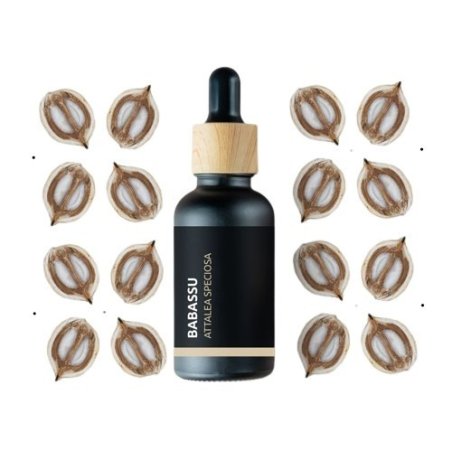BIO Babassu - 100% natürliches ätherisches Öl (10ml) - Pěstík