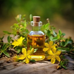 HUILE ESSENTIELLE BIO de Millepertuis - 100% naturelle (10ml) - Pěstík