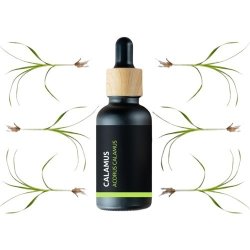BIO Calamus - 100% prírodný esenciálny olej (10ml) - Pěstík