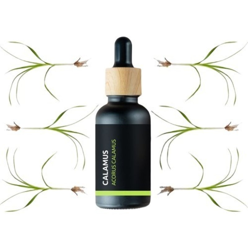 BIO Calamus - 100% natuurlijke essentiële olie (10ml) - Pěstík