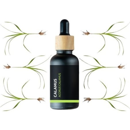 BIO Calamus - 100% naturlig eterisk olja (10ml) - Pěstík