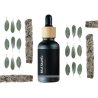 BIO Witte Salie - 100% natuurlijke etherische olie (10ml) - Pěstík