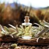 SAUGE BLANCHE BIO - Huile essentielle 100% naturelle (10ml) - Pěstík