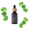 BIO Brahmi - 100% természetes ayurvédikus gyógynövényes olaj (10 ml)